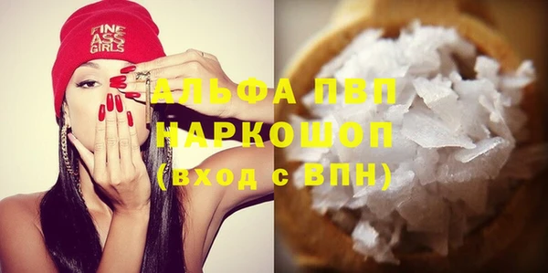 ПСИЛОЦИБИНОВЫЕ ГРИБЫ Михайлов