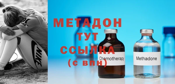 ПСИЛОЦИБИНОВЫЕ ГРИБЫ Михайлов
