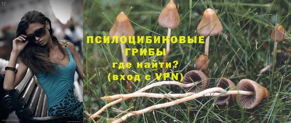 ПСИЛОЦИБИНОВЫЕ ГРИБЫ Михайлов