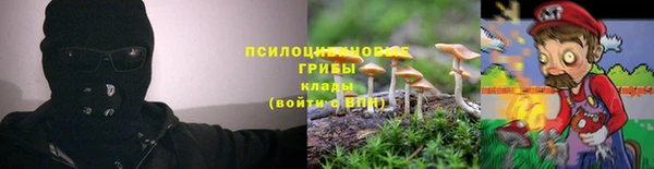 mdma Медвежьегорск
