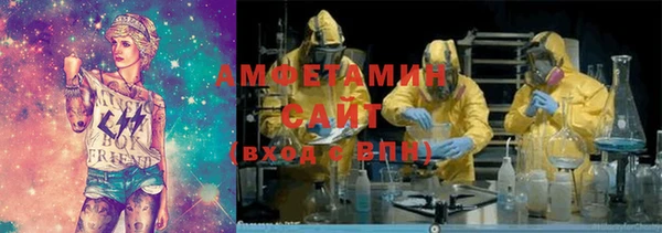 ПСИЛОЦИБИНОВЫЕ ГРИБЫ Михайлов